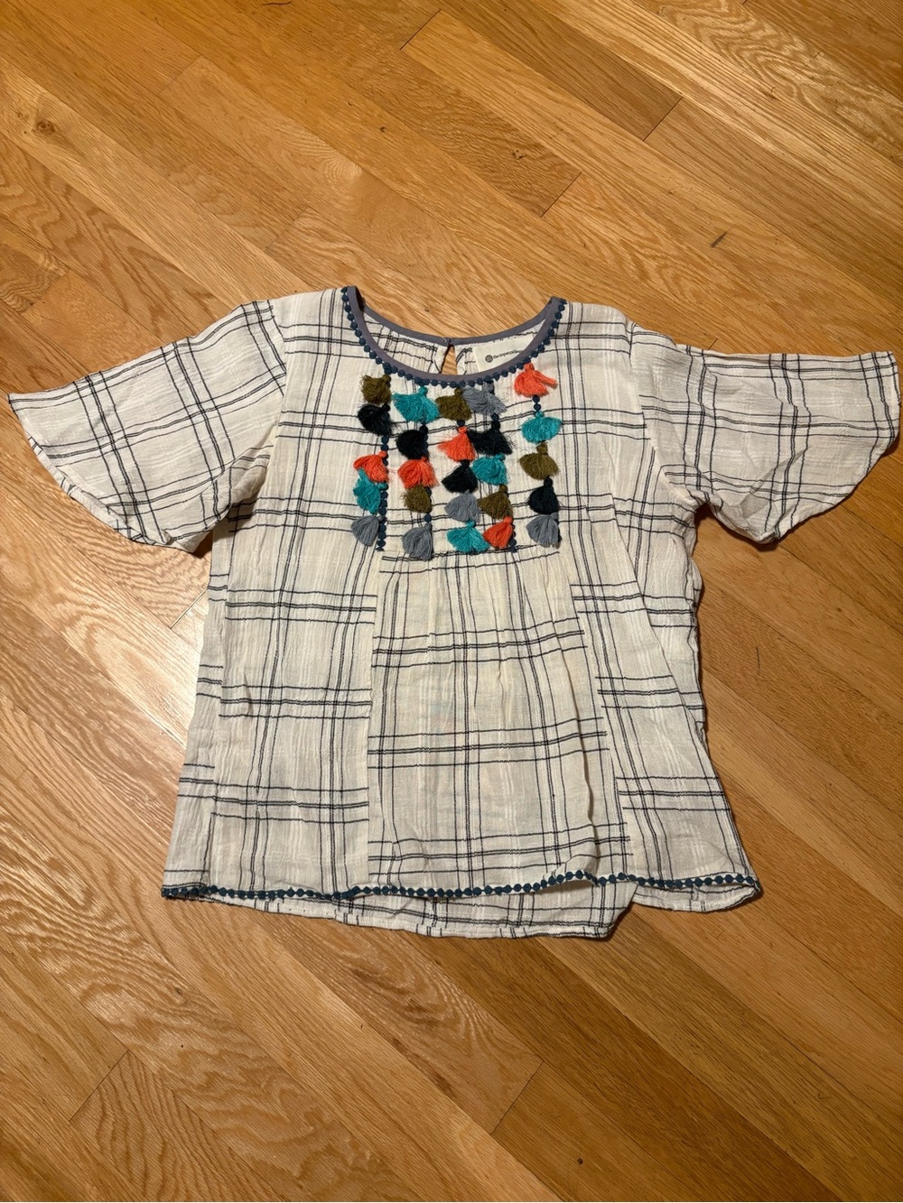 Anthropologie impeccable pig Multicolor Tassel Embroidered top